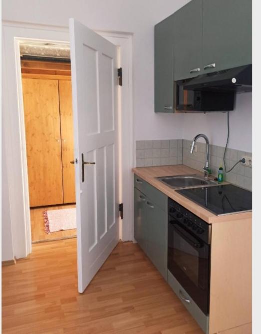 Ferienwohnung Villenviertel Rudolstadt Bagian luar foto